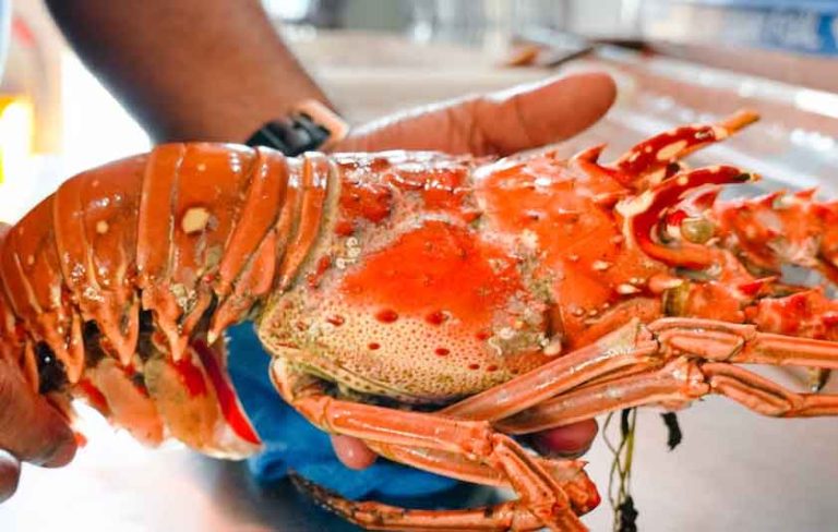 Live Seafood Restaurant Nusa Dua