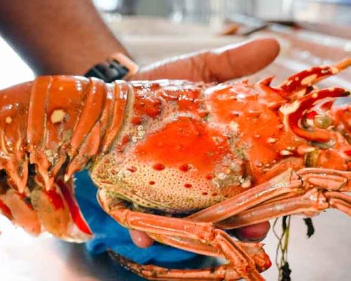 Live Seafood Restaurant Nusa Dua